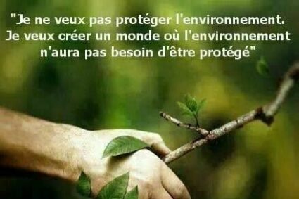 🚨🙈50 000 arbres brûlés par jours !Brûler du charbon ? c’est trop simple et pas assez polluant 😁