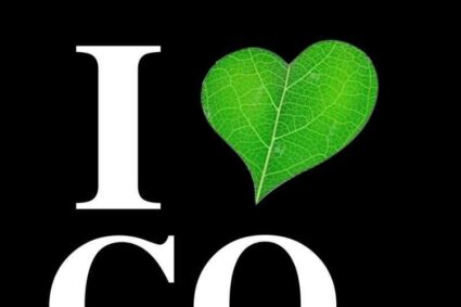 J’ADORE LE CO2 : 💚