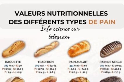 Valeurs nutritionnelles des différents types de pain