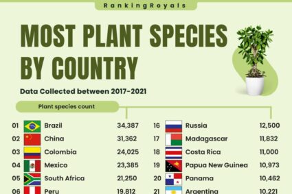 Pays qui comptent le plus grand nombre d’espèces végétales au monde!