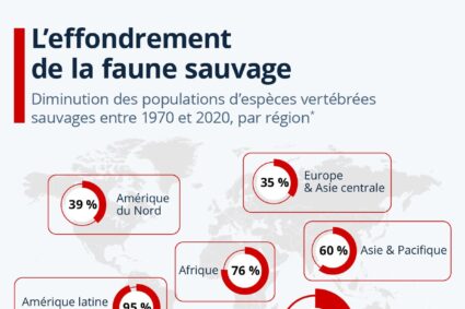 L’effondrement de la faune sauvage