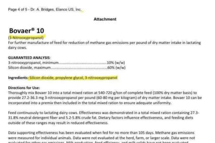 Réduire les émissions de méthane dans l’élevage laitier : le pari de Bovaer